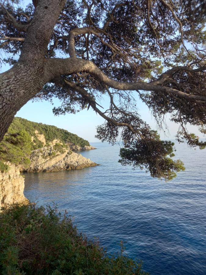 Villa Sea Dream Kolocep Gornje Celo Екстер'єр фото