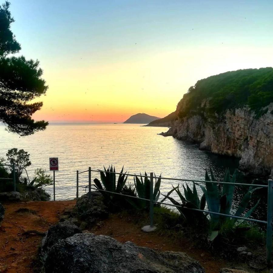 Villa Sea Dream Kolocep Gornje Celo Екстер'єр фото